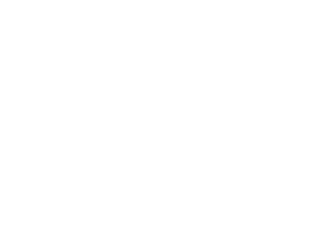 2 Burts Industries